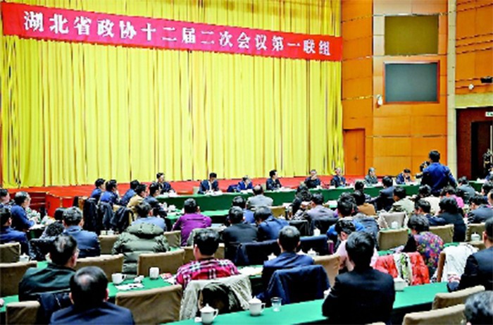 1月16日下午，湖北省委書記蔣超良參加第一聯組討論并講話。.jpg