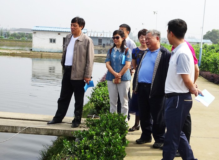 ee  5調研組在云夢縣沙河鄉北湖灣休閑漁業基地實地調研.jpg