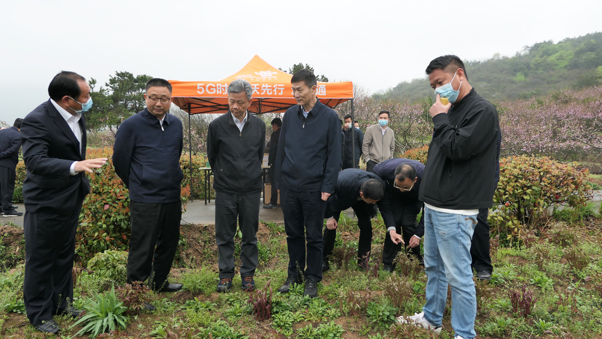 5調研組在鄂城區汀祖鎮欣農種養殖專業合作社實地調研.JPG