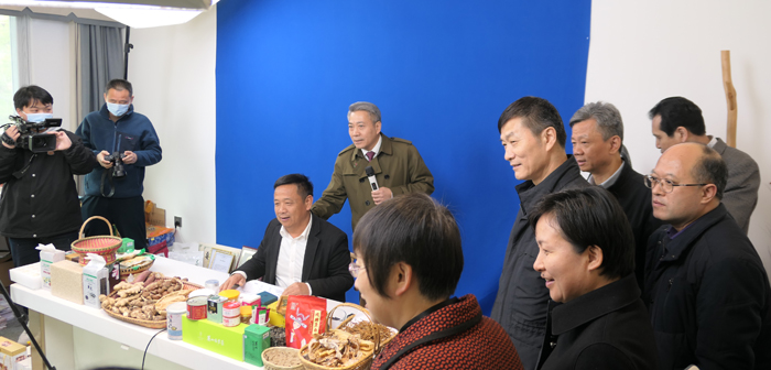9調研組在羅田縣燕兒谷新農業有限公司觀看網絡直播帶貨.JPG