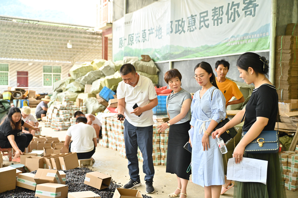 宣恩縣政協開展提案督辦“一線協商”助力電商產業發展 (2).JPG