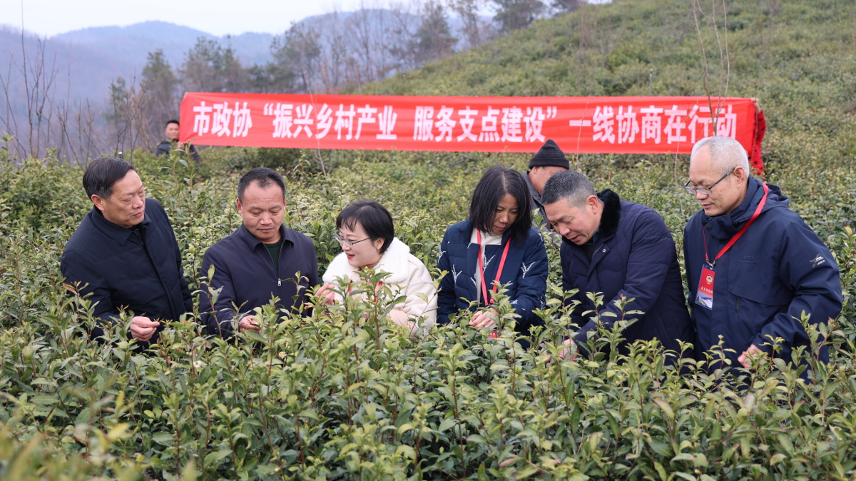 茶園協商.jpg