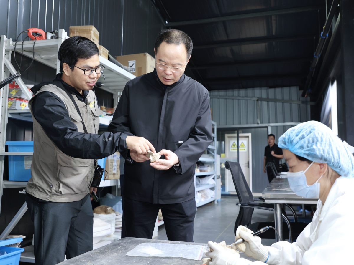 孫偉在鄖陽(yáng)區(qū)青曲鎮(zhèn)學(xué)堂梁子(鄖縣人)遺址調(diào)研考古遺址保護(hù)和利用工作.jpg 孫偉在鄖陽(yáng)區(qū)青曲鎮(zhèn)學(xué)堂梁子(鄖縣人)遺址調(diào)研考古遺址保護(hù)和利用工作.jpg